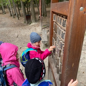 Vážčí výprava na rozhlednu a do obory Holedná