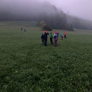 Večerně-noční výprava Lišek a Kocourů