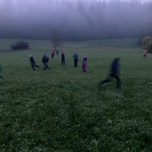 Večerně-noční výprava Lišek a Kocourů