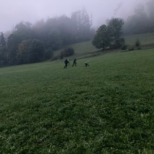 Večerně-noční výprava Lišek a Kocourů
