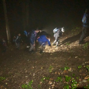 Večerně-noční výprava Lišek a Kocourů