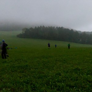 Večerně-noční výprava Lišek a Kocourů