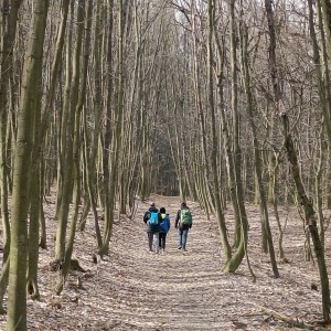 Vlčí výprava do Veselí 2022