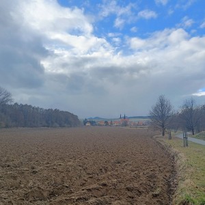 Vlčí výprava do Veselí 2022