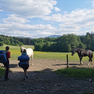 Výprava na Barborku (3.-5.6.)