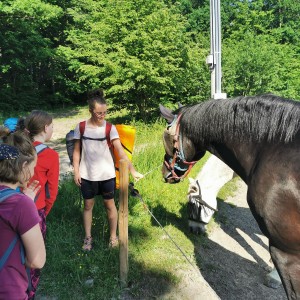 Výprava na Barborku (3.-5.6.)