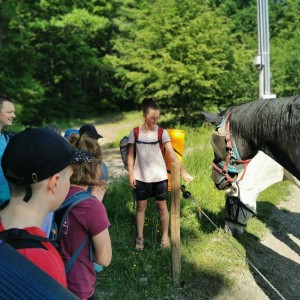 Výprava na Barborku (3.-5.6.)