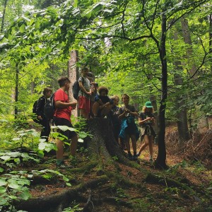 Výprava na Barborku (3.-5.6.)
