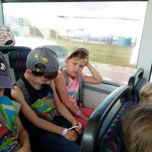 Svišti v ZOO Brno