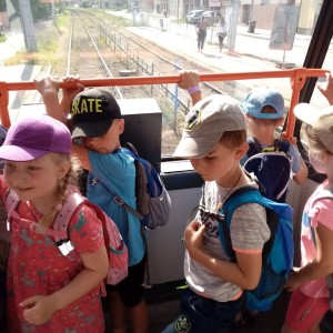 Svišti v ZOO Brno