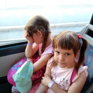 Svišti v ZOO Brno