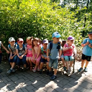 Svišti v ZOO Brno