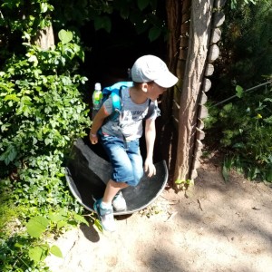 Svišti v ZOO Brno