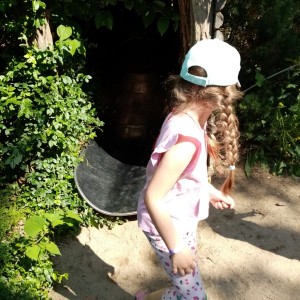 Svišti v ZOO Brno