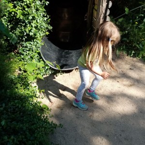 Svišti v ZOO Brno