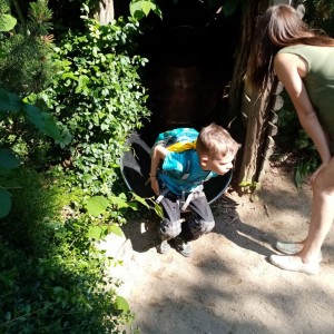 Svišti v ZOO Brno