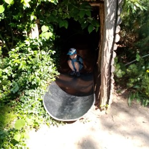 Svišti v ZOO Brno