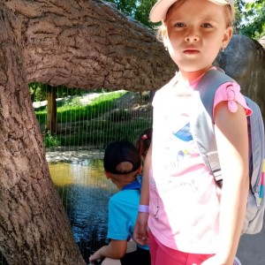 Svišti v ZOO Brno