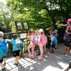 Svišti v ZOO Brno