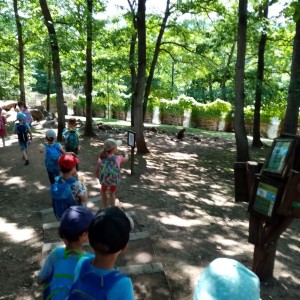 Svišti v ZOO Brno