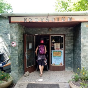 Svišti v ZOO Brno