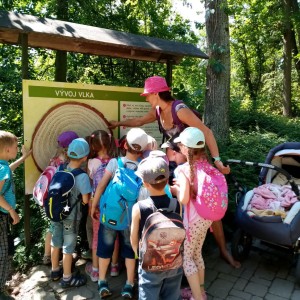 Svišti v ZOO Brno