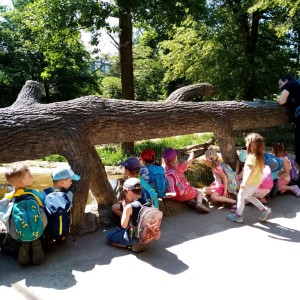 Svišti v ZOO Brno