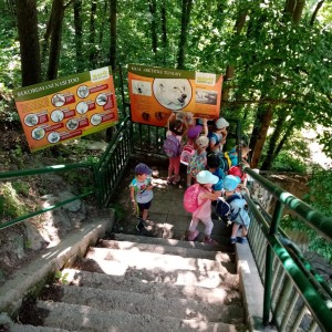 Svišti v ZOO Brno