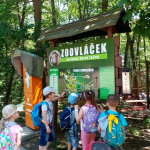 Svišti v ZOO Brno