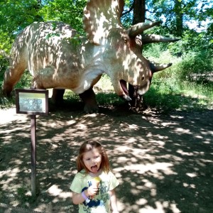 Svišti v ZOO Brno