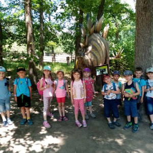 Svišti v ZOO Brno