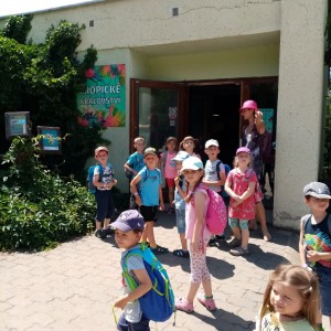 Svišti v ZOO Brno