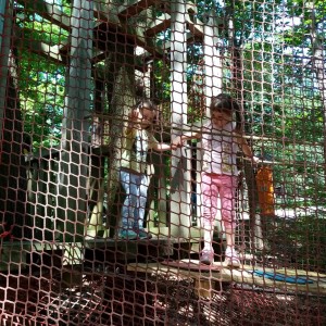 Svišti v ZOO Brno
