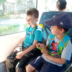Svišti v ZOO Brno