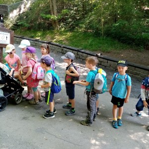Svišti v ZOO Brno