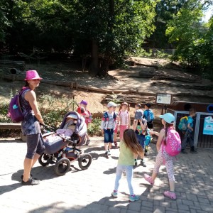 Svišti v ZOO Brno