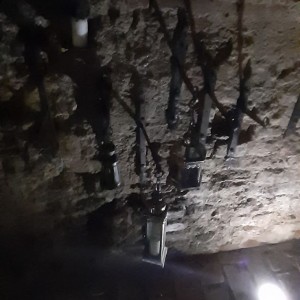 Žraločí vánoční výprava do Brna