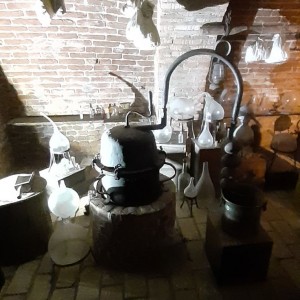 Žraločí vánoční výprava do Brna