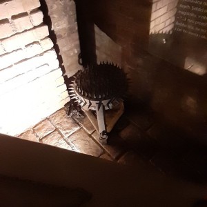 Žraločí vánoční výprava do Brna