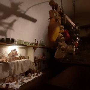 Žraločí vánoční výprava do Brna