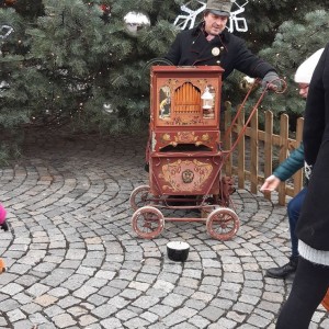 Žraločí vánoční výprava do Brna