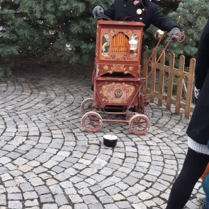 Žraločí vánoční výprava do Brna