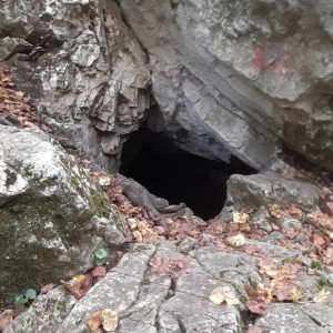 Žraločí výprava do jeskyň, znovu a lépe