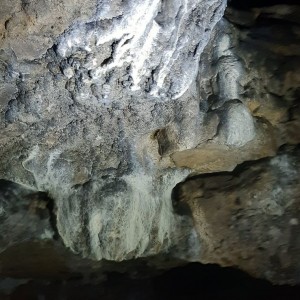 Žraločí výprava do jeskyň, znovu a lépe
