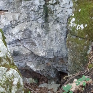 Žraločí výprava do jeskyň, znovu a lépe