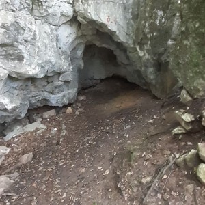 Žraločí výprava do jeskyň, znovu a lépe