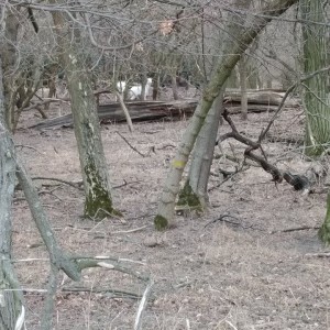 Žraločí výprava nakonec ne do jeskyň