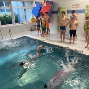 Kocouří a Liščí oddílovka na bazéně