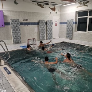 Kocouří a Liščí oddílovka na bazéně