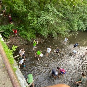 Liščí a kocouří závěrečná